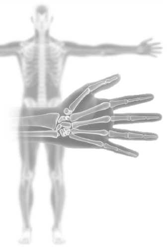 Hand